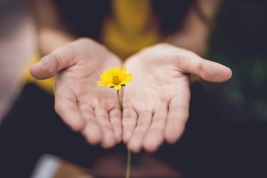 RAJYOG SPIRITUAL HEALING CENTRE